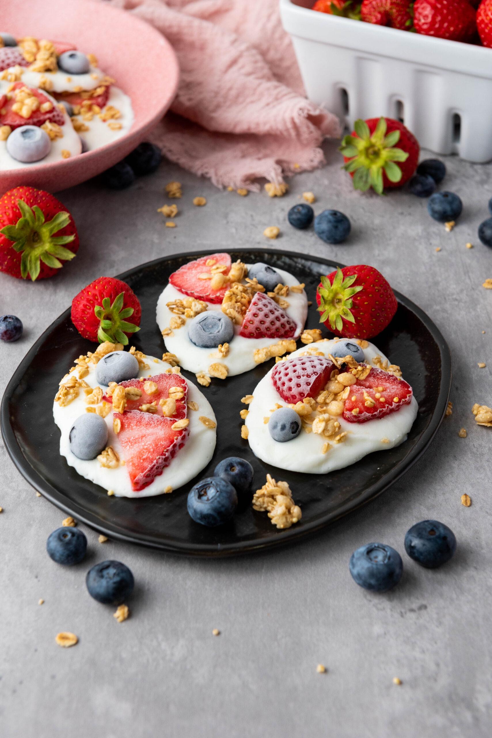 Frozen Vanilla Yogurt Bites: Get Ready To Chill Out